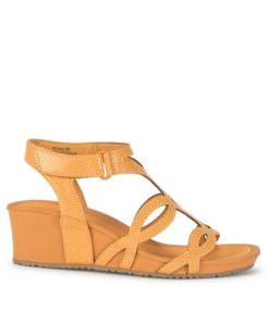 Newapp.shop1a63521390 3