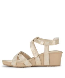 Newapp.shop1df2ecb398 2