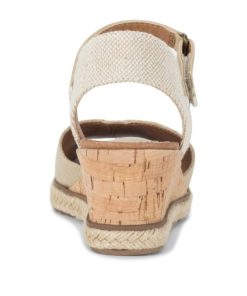 Newapp.shop2c1cab4b19 5