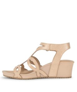 Newapp.shop7dfef04f1e 2