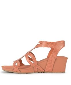 Newapp.shop80678b02e2 2