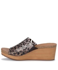 Newapp.shopccb1488172 2