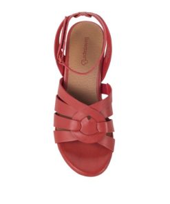 Newapp.shopf685bbade1 4