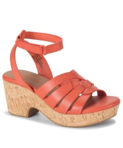 Newapp.shopfd3974af5f 1