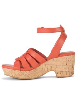 Newapp.shopfd3974af5f 2