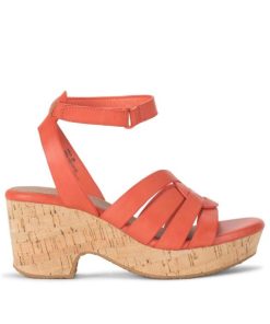 Newapp.shopfd3974af5f 3