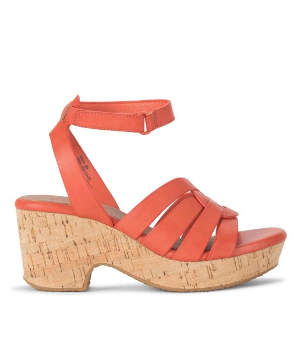 Newapp.shopfd3974af5f 3